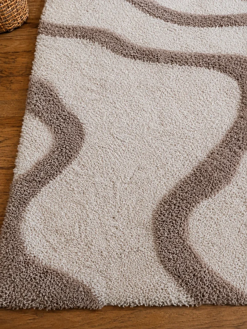 Entretien D Un Tapis Encrasse Chez Un Particulier A Biviers 38330 2